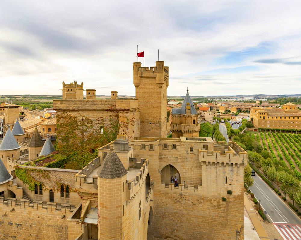 Vista del palacio de Olite con paisaje de viñas cercanas